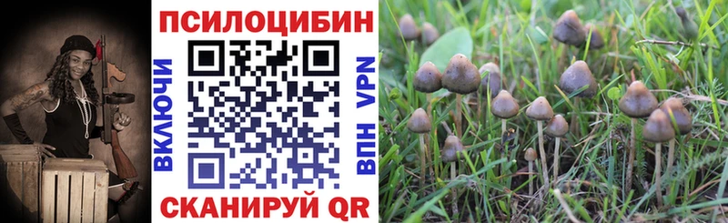 Галлюциногенные грибы GOLDEN TEACHER  Елизаветинская 